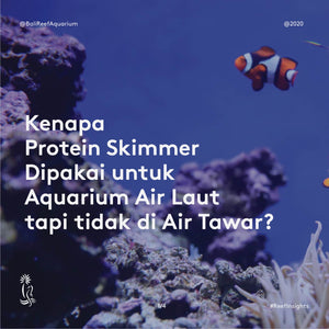 "Kenapa protein skimmer dipakai untuk aquarium air laut tapi tidak di air tawar?"