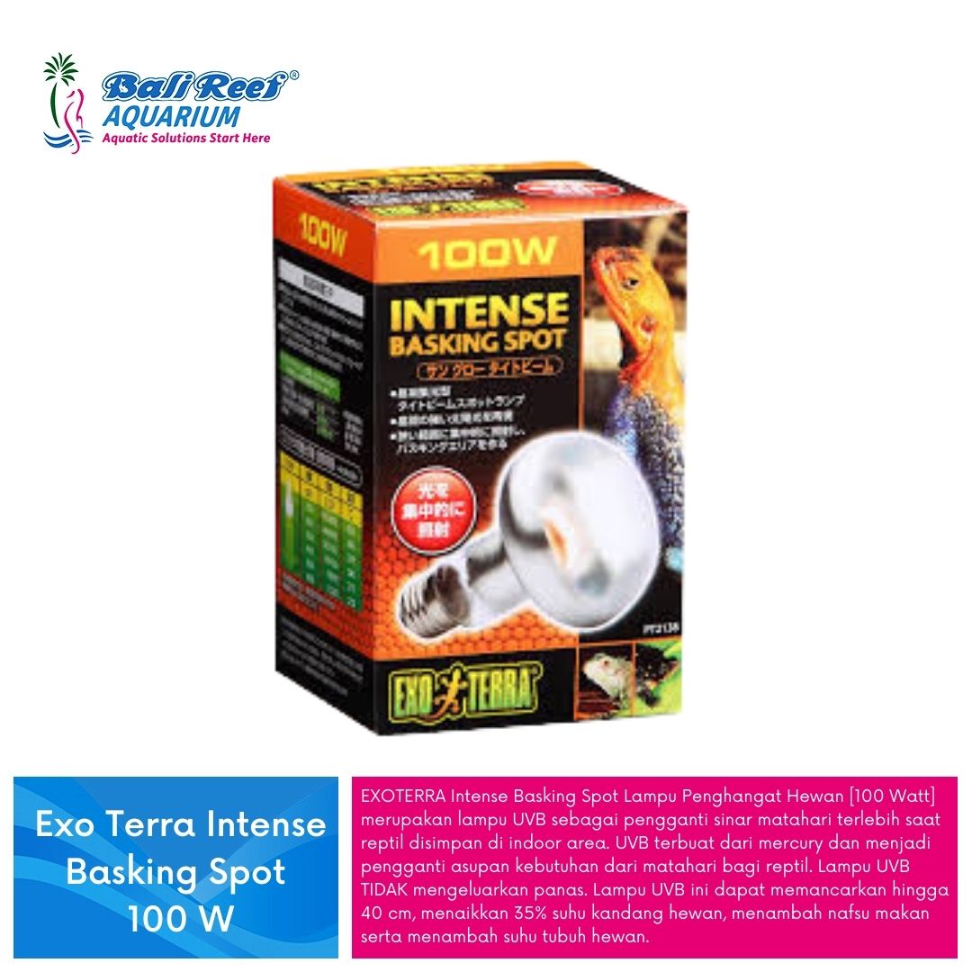 Exo Terra Intense Basking Spot – Bali Reef Aquarium Online Store