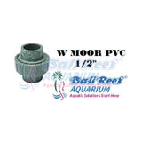 Pipa:  W Moor 18092017 Bali Reef Aquarium Online Store