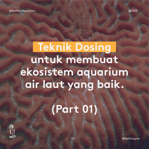 Teknik Dosing untuk membuat ekosistem aquarium air laut yang baik.