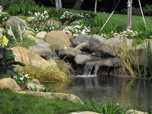 Perfect Ponds Made Simple
