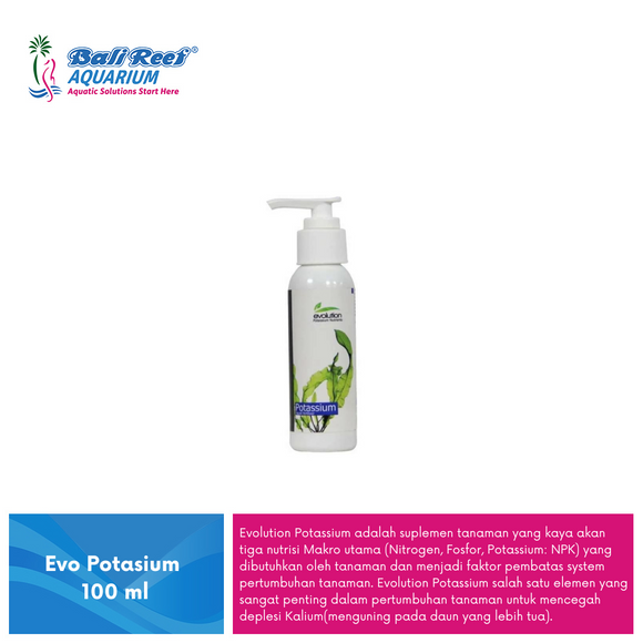 One Evo Potasium 100ml