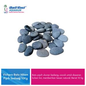 Batu Hitam 14092017B Bali Reef Aquarium Online Store