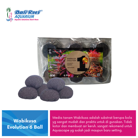 Evolution Wabikusa 6 Ball
