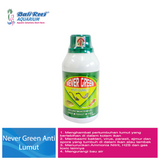 Never Green Anti Lumut 250 ml