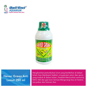 Never Green Anti Lumut 250 ml