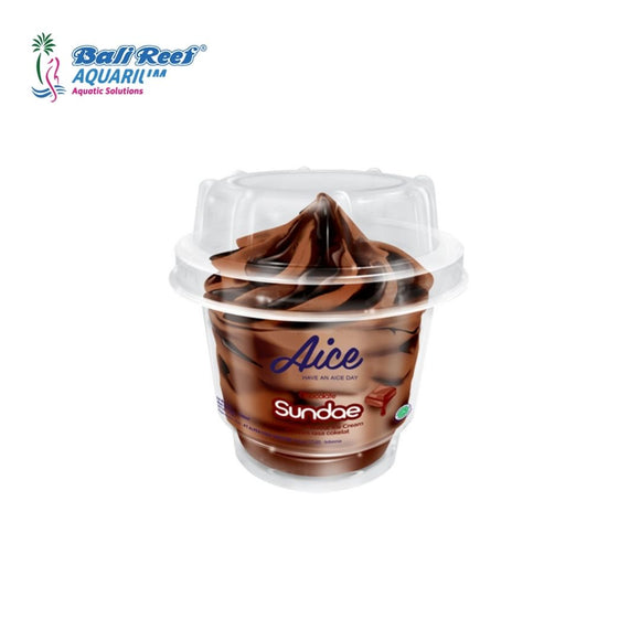 AICE Ice Cream Sundae Chocolate Cup 100g