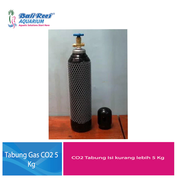 Co2 Tabung Hitam / Biru 4 Kg