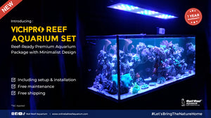 Vichpro Reef Packages