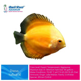 Discus
