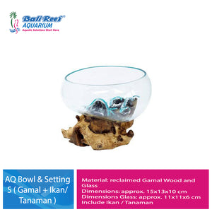 Aquarium Bowl & Setting