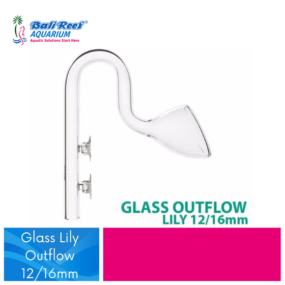 Chihiros Hose Lily glass