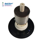 Rotor For Aquaforce