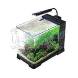 Aq. Amara 14092017 Bali Reef Aquarium Online Store