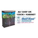 Aq. Amara 14092017 Bali Reef Aquarium Online Store