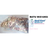 Batu 07092017 Bali Reef Aquarium Online Store