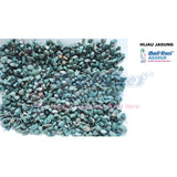 Batu 07092017 Bali Reef Aquarium Online Store