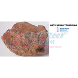Batu 07092017 Bali Reef Aquarium Online Store