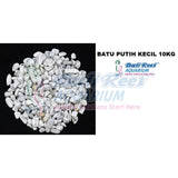 Batu 07092017 Bali Reef Aquarium Online Store