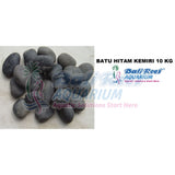Batu Hitam 14092017B Bali Reef Aquarium Online Store