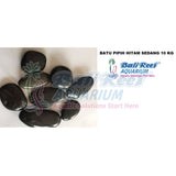 Batu Hitam 14092017B Bali Reef Aquarium Online Store