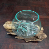 AQ Bowl
