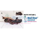 Kayu Hitam Size L 27042017 Bali Reef Aquarium Online Store