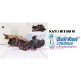 Kayu Hitam Size M 27042017 Bali Reef Aquarium Online Store