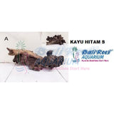Kayu Hitam Size S 27042017 Bali Reef Aquarium Online Store