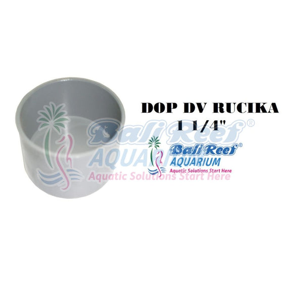 Pipa:  Dop Dv Rucika 18092017 Bali Reef Aquarium Online Store