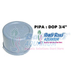 Pipa:  Dop Dv Rucika 18092017 Bali Reef Aquarium Online Store