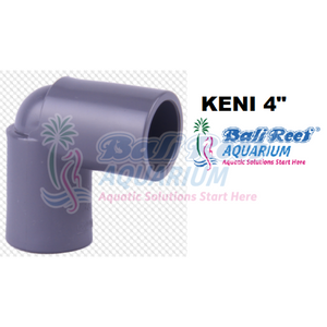 Pipa:  Keni 18092017 Bali Reef Aquarium Online Store