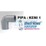 Pipa:  Keni 18092017 Bali Reef Aquarium Online Store