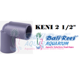 Pipa:  Keni 18092017 Bali Reef Aquarium Online Store