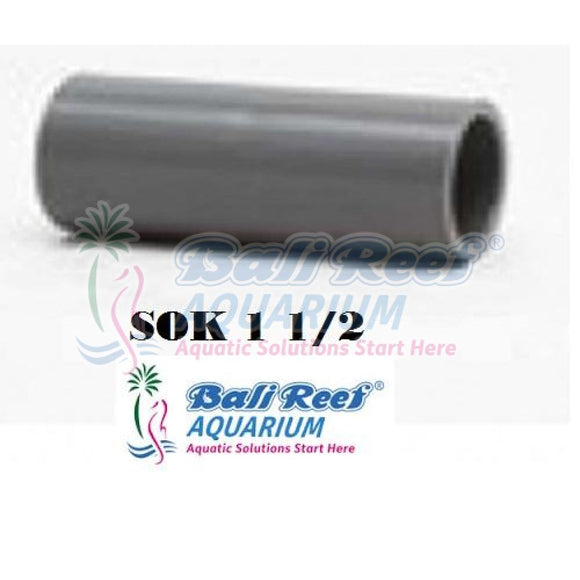 Pipa:  Sok 18092017 Bali Reef Aquarium Online Store