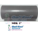 Pipa:  Sok 18092017 Bali Reef Aquarium Online Store