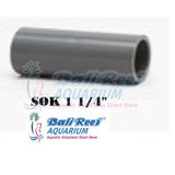 Pipa:  Sok 18092017 Bali Reef Aquarium Online Store