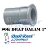 Pipa:  Sok Drat Dalam 18092017 Bali Reef Aquarium Online Store