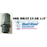 Pipa:  Sok Drat Luar 18092017 Bali Reef Aquarium Online Store