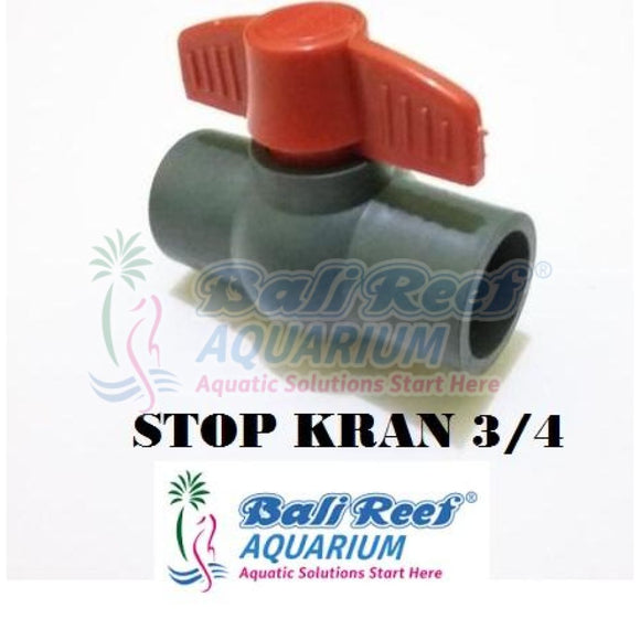 Pipa:  Stop Kran 18092017 Bali Reef Aquarium Online Store