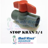 Pipa:  Stop Kran 18092017 Bali Reef Aquarium Online Store