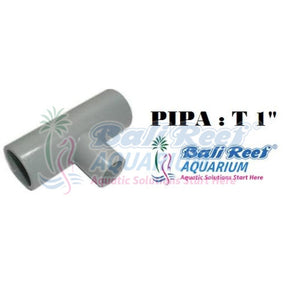 Pipa:  Tee 18092017 Bali Reef Aquarium Online Store