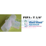 Pipa:  Tee 18092017 Bali Reef Aquarium Online Store