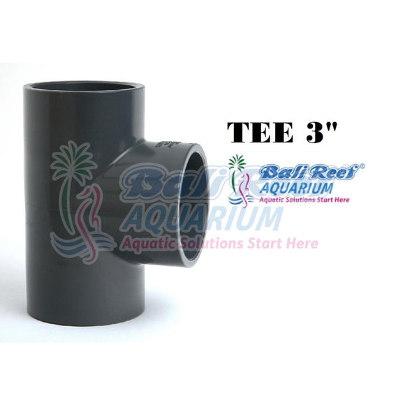 Pipa:  Tee 18092017 Bali Reef Aquarium Online Store