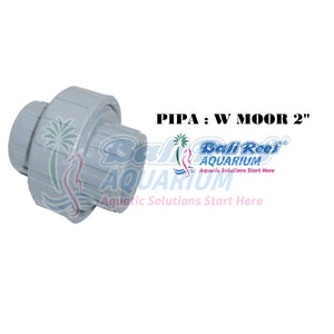 Pipa:  W Moor 18092017 Bali Reef Aquarium Online Store