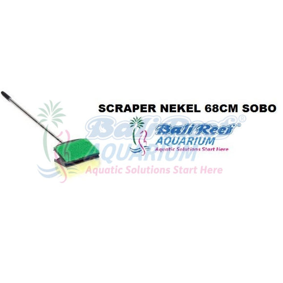 Scraper Nekel 68Cm Sobo 14092017 Bali Reef Aquarium Online Store
