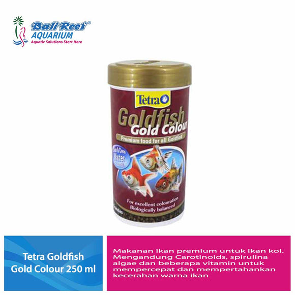 Tetra  Goldfish Colour