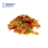 Tetra  Goldfish Colour
